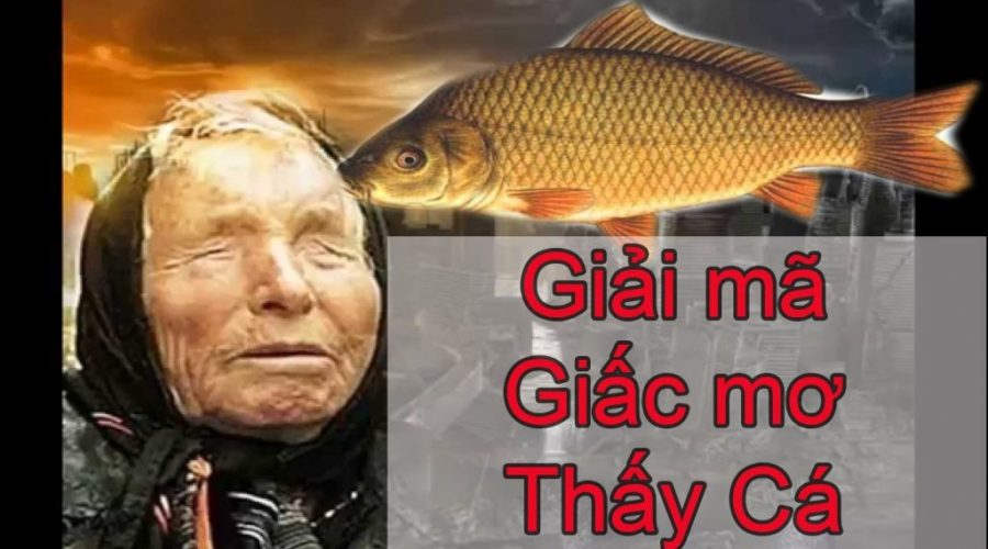 Giải mã giấc mơ thấy cá chép